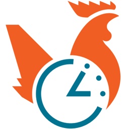 Jet Lag Rooster