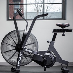 Rogue Echo Bike
